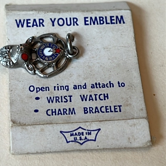 Vintage BENEVOLENT AND PROTECTIVE ORDER  OF ELKS BPOE LAPEL PIN RED EYES - Picture 5 of 7